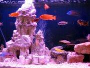Aquariumdekoration